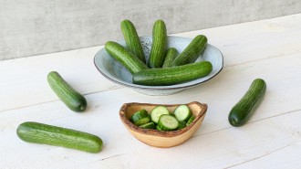 Royal Pride versterkt assortiment met mini- en midikomkommers